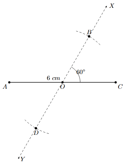 Step 4: Cut arcs of 3 cm on YOX to get points B and D.